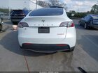 2023 Tesla Model Y   White vin: 7SAYGDEE5PA145220