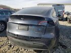 2024 Tesla Model Y Gray vin: 7SAYGDEE5RA329639