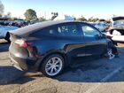 2024 Tesla Model Y Black vin: 7SAYGDEEXRA236129