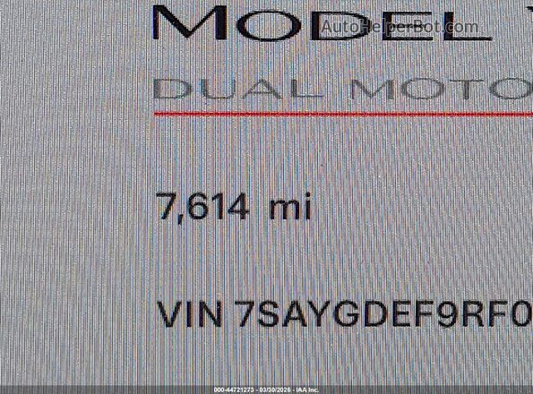 7SAYGDEF9RF061075 2024 TESLA MODEL Y White 