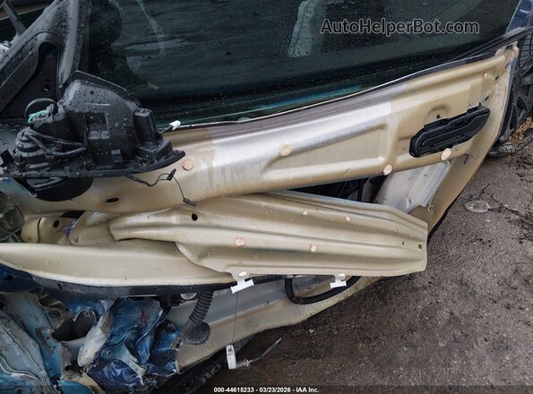 7SAYGDEF9RF169843 2024 TESLA MODEL Y Blue Вид задньої частини салону