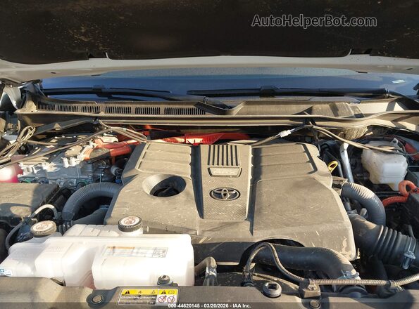 7SVAAABA5SX052706 2025 TOYOTA SEQUOIA Белый Вид сзади