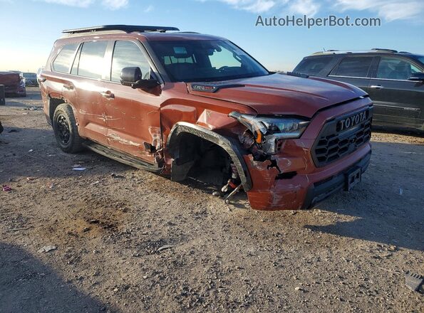 7SVAAABA6RX040459 2024 TOYOTA SEQUOIA Maroon Передня права чверть