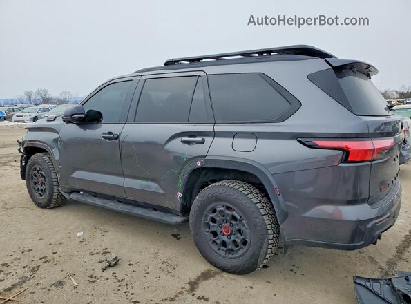7SVAAABA9SX060971 2025 TOYOTA SEQUOIA Gray უკანა მარცხენა