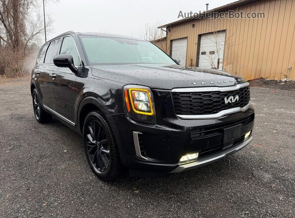 5XYP5DHC1NG217368 2022 KIA TELLURIDE Черный Задняя левая четверть