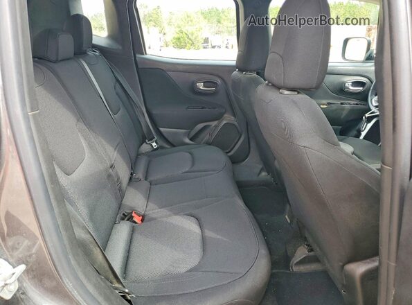 ZACNJAAB1KPK37972 2019 JEEP RENEGADE Серый Вид задней части салона