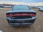 2020 Dodge Charger Sxt Black vin: 2C3CDXBG2LH213959