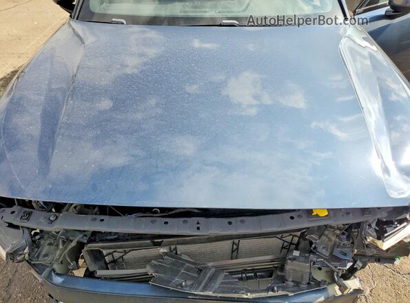 LPSED3KAXML006449 2021 POLESTAR 2 Blue Շարժիչի բաժամունքի տեսք