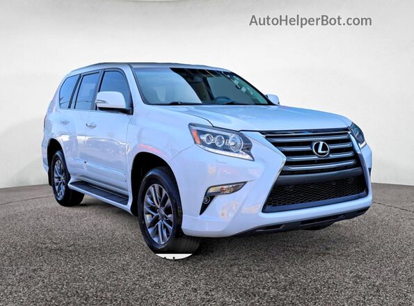 JTJJM7FX9HH150173 2017 LEXUS GX Белый Задняя левая четверть