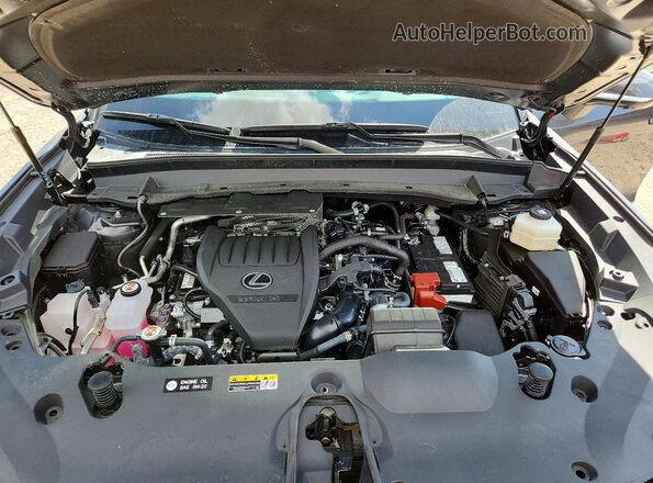 5TDAAAB60SS031015 2025 LEXUS TX Gray Vista de la etiqueta del VIN