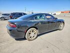 2017 Dodge Charger Sxt Черный vin: 2C3CDXJG6HH526425