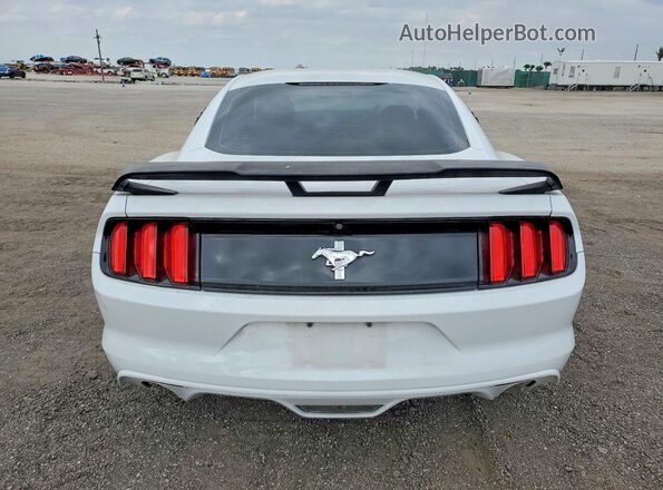 1FA6P8AM9H5202524 2017 FORD MUSTANG Белый Вид сзади