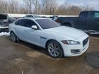 2016 Jaguar Xf Premium White vin: SAJBD4BV7GCY06652