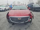 2019 Cadillac Xts Luxury Бордовый vin: 2G61N5S31K9102428