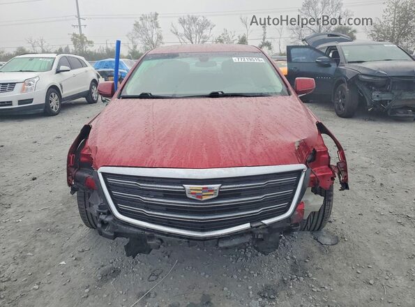 2G61N5S31K9102428 2019 CADILLAC XTS Бордовый Вид сзади