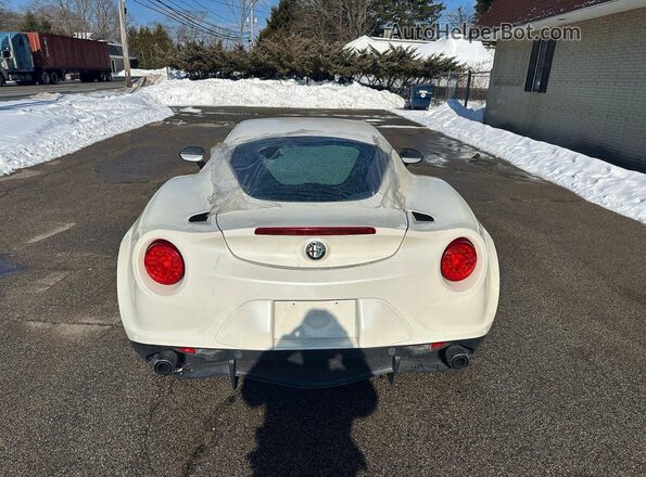ZARBAAA41GM177436 2016 ALFA ROMEO 4C White VIN sticker view