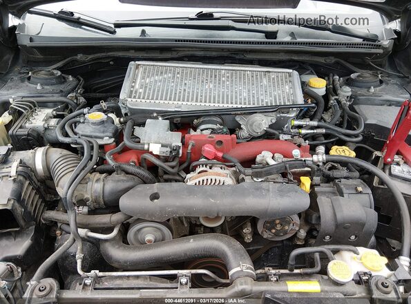 JF1VA2Y69K9800548 2019 SUBARU WRX STI Черный Вид сзади