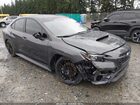 2024 Subaru Wrx Premium Gray vin: JF1VBAH62R8818994