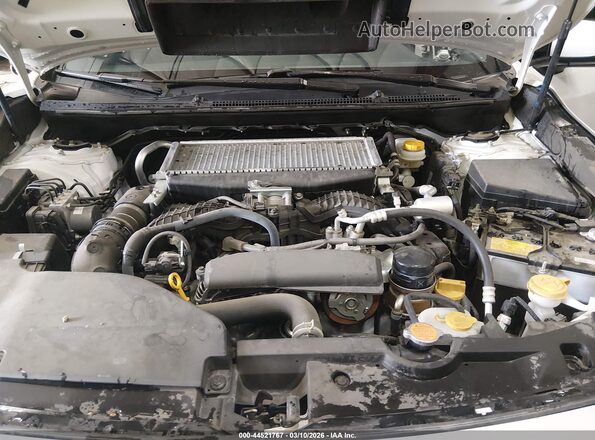 JF1VBAL65P9822567 2023 SUBARU WRX Белый Вид сзади