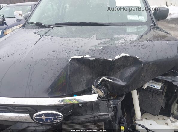 JF2SJAAC6HG574448 2017 SUBARU FORESTER 2.5 Синий Вид сзади