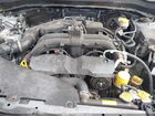 2017 Subaru Forester 2.5i Premium Зеленый vin: JF2SJAGC5HH436174