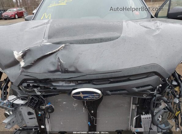 JF2SKAJC8RH418162 2024 SUBARU FORESTER Серый Вид сзади