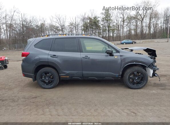 JF2SKAJC8RH418162 2024 SUBARU FORESTER Серый Панорамный вид салона 360°