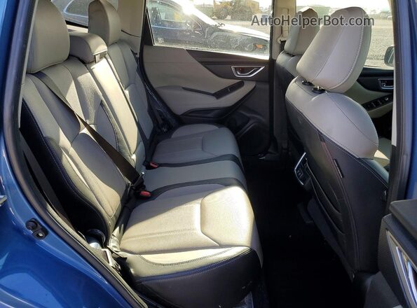 JF2SKASC5KH499982 2019 SUBARU FORESTER Синий Вид задней части салона