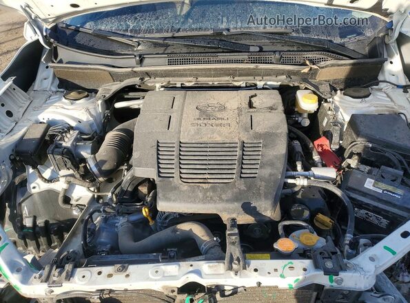 JF2SKAXC6LH437968 2020 SUBARU FORESTER White Widok wnętrza z tyłu