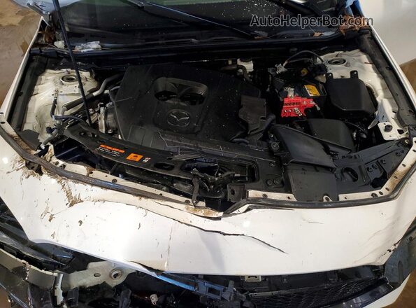 JM1BPAKM3P1605080 2023 MAZDA 3 Белый Вид задней части салона