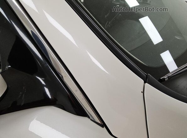 JN1EV7AR2KM551123 2019 INFINITI Q50 Белый 