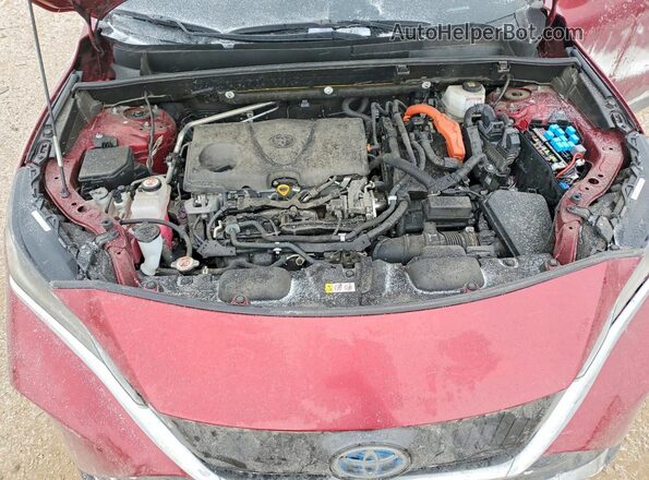 JTEAAAAH6MJ038579 2021 TOYOTA VENZA Red Widok wnętrza z tyłu
