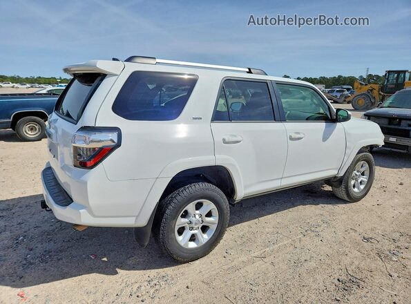JTEEU5JR7R5312591 2024 TOYOTA 4RUNNER Белый Задняя правая четверть