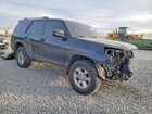 2024 Toyota 4runner Sr5/sr5 Premium Черный vin: JTEMU5JR0R6272411