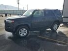 2024 Toyota 4runner Sr5 Gray vin: JTEMU5JR5R6248346