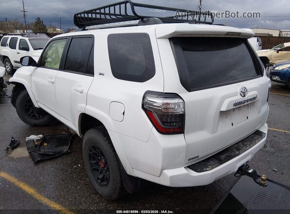 JTEMU5JR7P6092677 2023 TOYOTA 4RUNNER Белый Задняя левая четверть