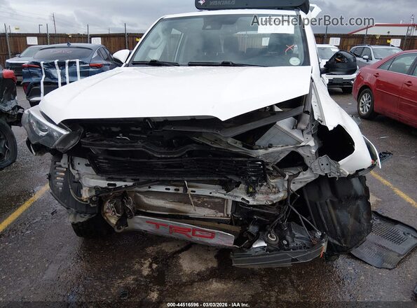 JTEMU5JR7P6092677 2023 TOYOTA 4RUNNER Белый Вид спереди