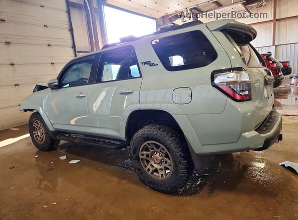 JTERU5JR5N6033453 2022 TOYOTA 4RUNNER Серый Задняя левая четверть