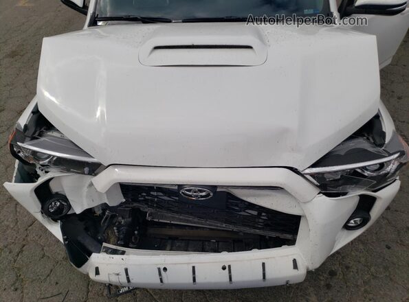 JTERU5JR9P6212274 2023 TOYOTA 4RUNNER Белый Вид задней части салона