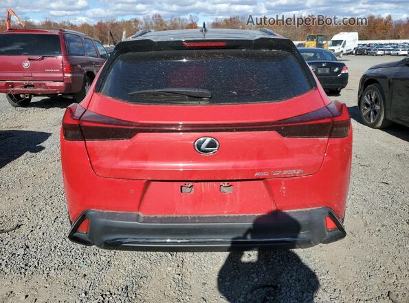 JTHB9JBH5P2067701 2023 LEXUS UX Красный Вид сзади