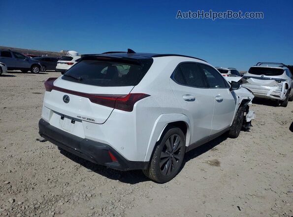 JTHB9JBH9P2064896 2023 LEXUS UX Белый Вид сзади