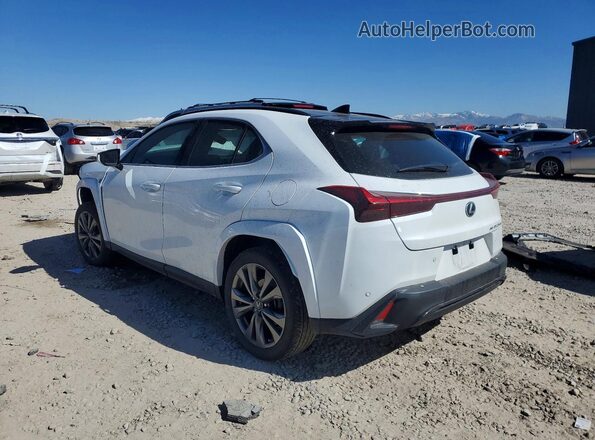JTHB9JBH9P2064896 2023 LEXUS UX Белый Задняя левая четверть
