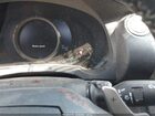 2016 Lexus Is 200t Black vin: JTHBA1D25G5018965 2016 Lexus Is 200t Black vin: JTHBA1D25G5018965