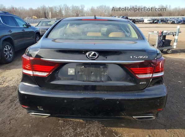 JTHCL5EF8G5027148 2016 LEXUS LS Черный Вид сзади