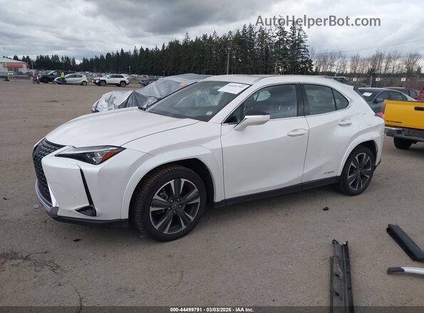 JTHL9JBH7N2056474 2022 LEXUS UX 250H White Przód lewy