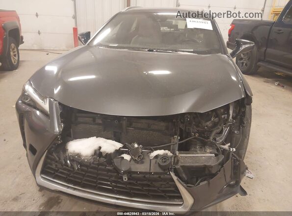 JTHL9JBH9N2062406 2022 LEXUS UX 250H Серый Вид спереди