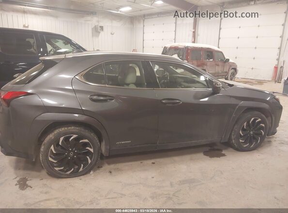 JTHL9JBH9N2062406 2022 LEXUS UX 250H Серый Вид задней части салона