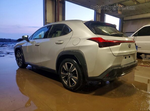JTHP3JBH8L2023290 2020 LEXUS UX Серебряный Задняя левая четверть
