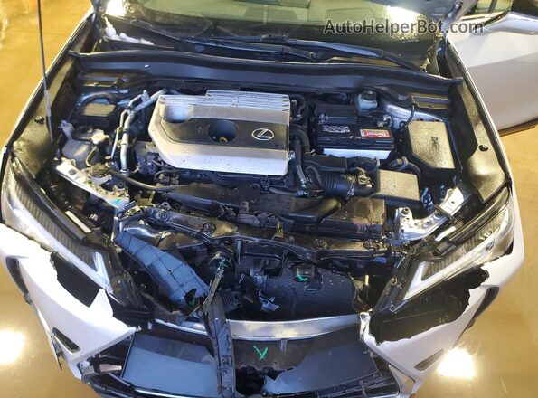 JTHP3JBH8L2023290 2020 LEXUS UX Серебряный Вид задней части салона
