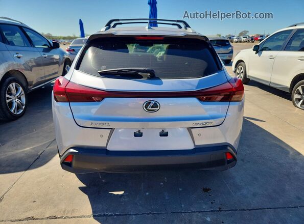 JTHP6JBH6R2174287 2024 LEXUS UX Silver Вид ззаду